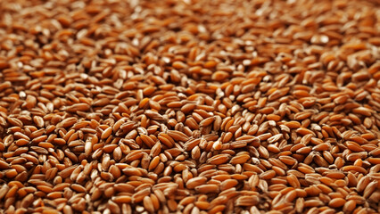 Obraz premium Close-Up of Brown Flax Seeds with Textured Surface