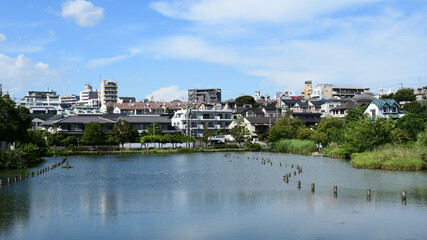 小池公園　東京都大田区