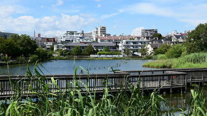 小池公園　東京都大田区