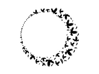 circle shaped frame of bird's and Feather's