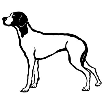 Pointer