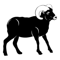 Obraz premium Ram