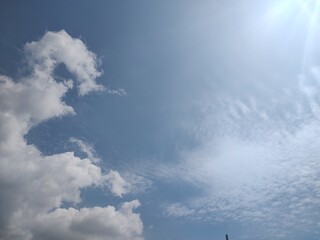 東京の庭園(24.8.21)