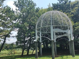 東京の庭園(24.8.21)