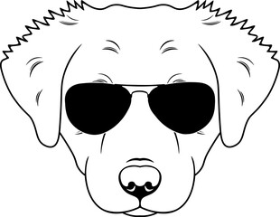 Slovensky Cuvac In Sunglasses