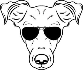 Smooth Fox Terrier In Sunglasses