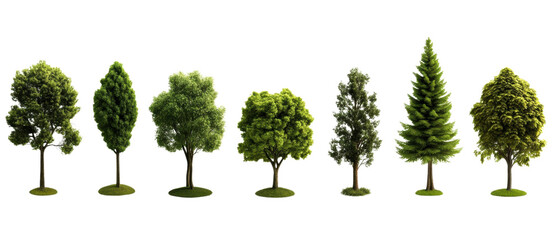Fototapeta premium A collection of various trees showcasing different shapes and sizes, ideal for nature and landscape themes.