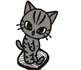Cat cute