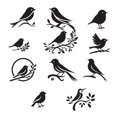 Obraz premium birds on a branch