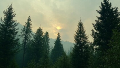 Ominous Wildfire Threat: Smoke-Shrouded Forest with Visible Fire Line. Atmospheric Landscape for Environmental Awareness Campaigns, Climate Change Visuals, and Dramatic Nature Illustrations. Ideal for