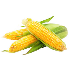 Sweet Corn Isolated with Transparent Background, PNG Clip Art