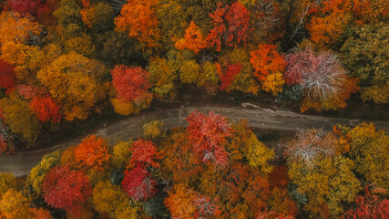 Forest Dirt Road Autumn Fall Foliage New England Aerial View Beautiful Colors in Stowe, Vermont. Landscape Drone Photography Nature