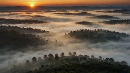 Sunrise with rivers of fog. Sun rising, soft light over fog-filled valleys, mystical ethereal scene. Realistic style.