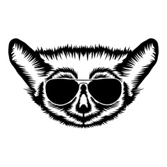 Tarsier In Sunglasses