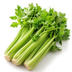 Fresh, whole dill weed bunches on a white background.