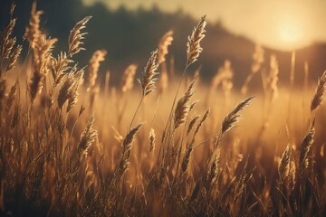 Golden Wheat Field at Sunset
