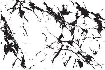 Fototapeta premium Elegant Marble Veins Showcasing Natural Texture Black and White