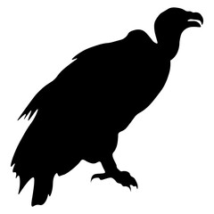 Vulture Silhouette