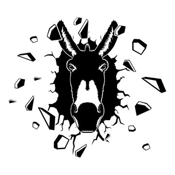 Wall Smashing  Donkey