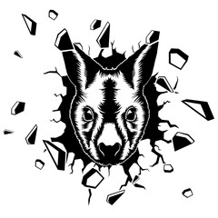 Obraz premium Wall Smashing Wallaby