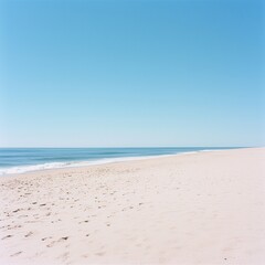Pristine Beach with Clear Blue Sky and Ocean