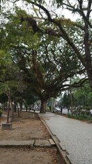 Fototapeta premium path in the park