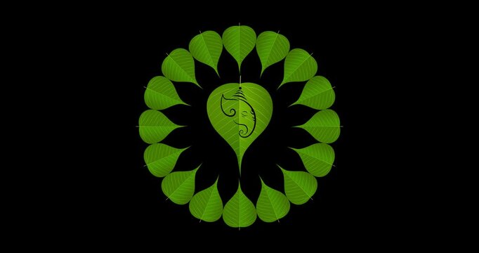 peepal leaf ganpati motion graphics on transparent background (alpha). design for Hindu Auspicious Occasion and Ganesh chaturthi festival.