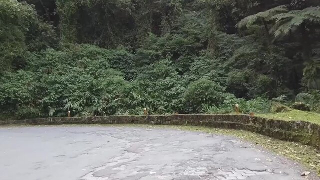 Curvas acentuadas da estrada da Graciosa, Serra do Mar do estado do Paran&aacute;, sul do Brasil