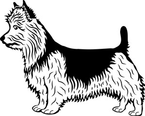 Australian Terrier