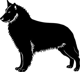 Belgian Sheepdog