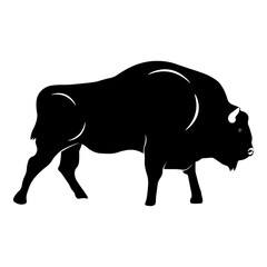 Bison