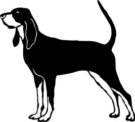 Black and Tan Coonhound