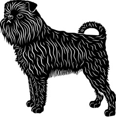 Brussels Griffon