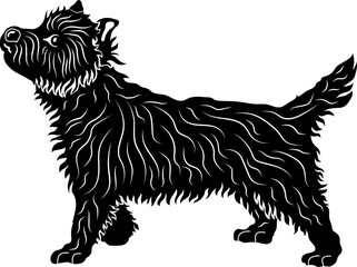 Cairn Terrier