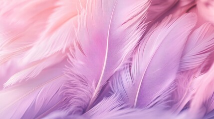 Fototapeta premium Abstract Feather Background