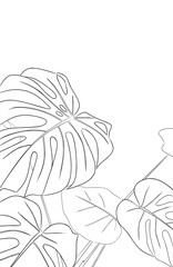 Monstera leaves(line drawing) © Artty