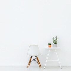 Minimalist White Room Interior Design with Chair  Table  and Plants
