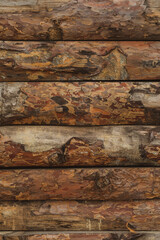 Obraz premium Wooden background of untreated logs, atmospheric timber wall, vertical laying, copy space.