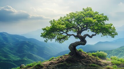 Obraz premium Majestic Tree on a Mountain Ridge