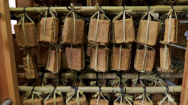 실내에서 건조되는 콩을 발효시켜 만든 전통 메주