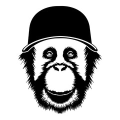 Orangutan In Baseball Cap