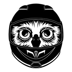 Fototapeta premium Owl In Motorcycle Helmet