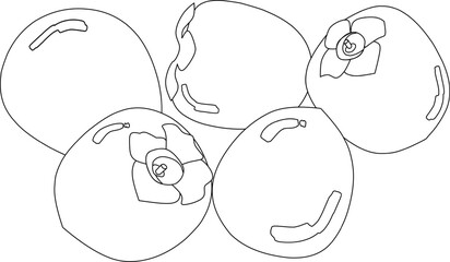 Persimmons(line drawing)