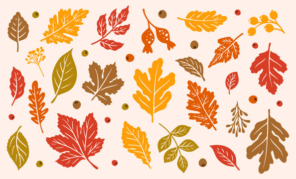 Autumn Leaves Clip Art for Fall Background, maple leaf, dry leaf, autumn trees, falling leaves, flower vector, autumn leaves icon, or leaf logo in svg vector