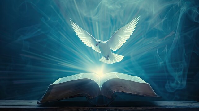 White dove above glowing holy book