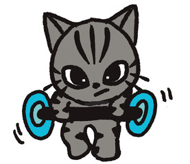 cat exercise