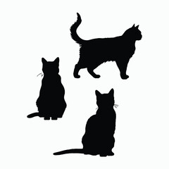Obraz premium American Shorthair Cat Silhouette Vector Set Animals Illustration Template