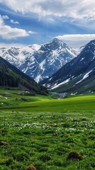Obraz premium Springtime in a mountain valley melting snow feeding vibrant green fields