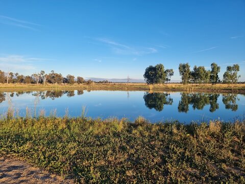 Minyip Wetlands in Victoria Australia