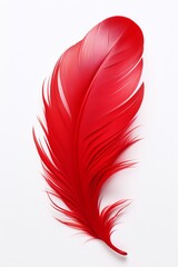 Red Feather Illustration, isolated feather with white background, delicate red feather. Minimalist nature art,